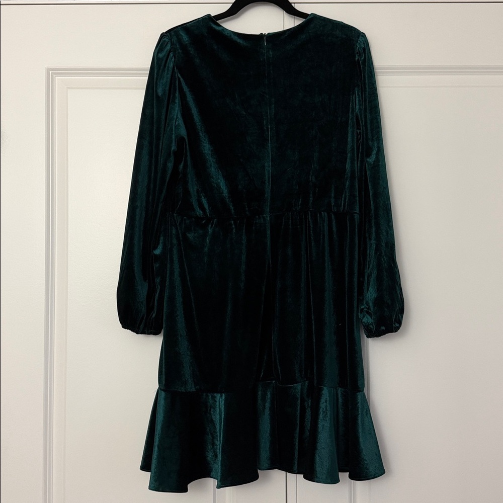 Melonie T Velvet Dress, Size 16P - Picture 7 of 7